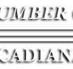 stlandrylumber
